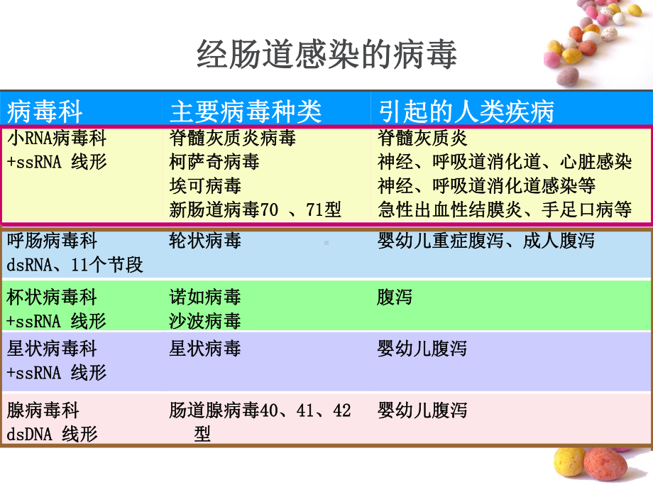 医学微生物学课件肠道病毒.pptx_第2页