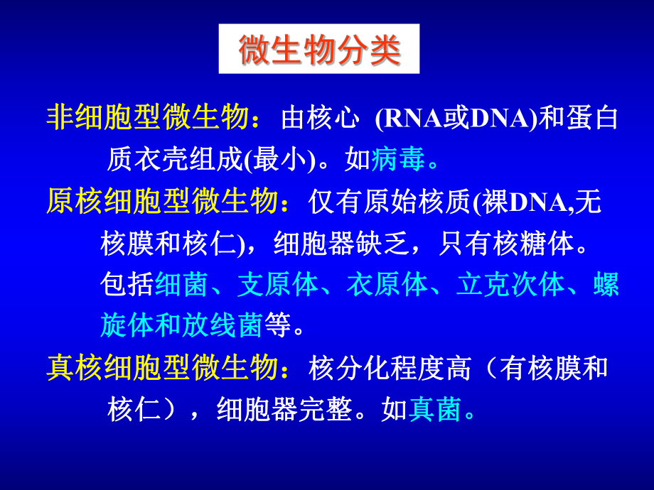 医学微生物学课件2.细菌形态与结构.pptx_第2页