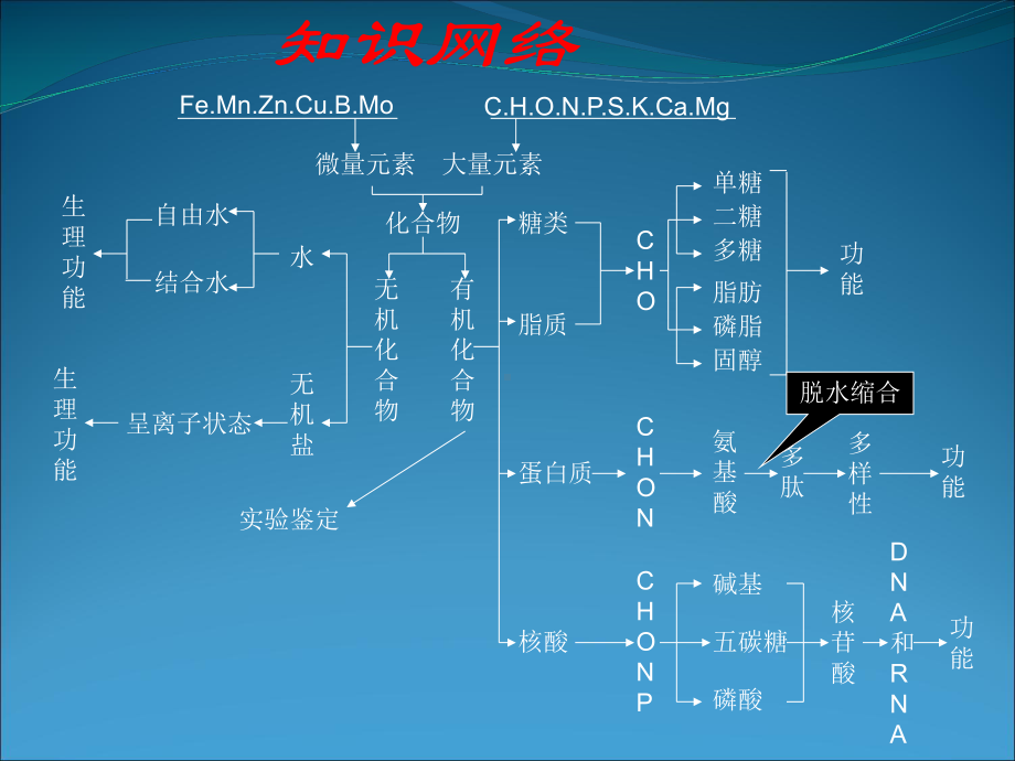 高中生物新人教版必修123第一轮复习全部课件.ppt_第2页