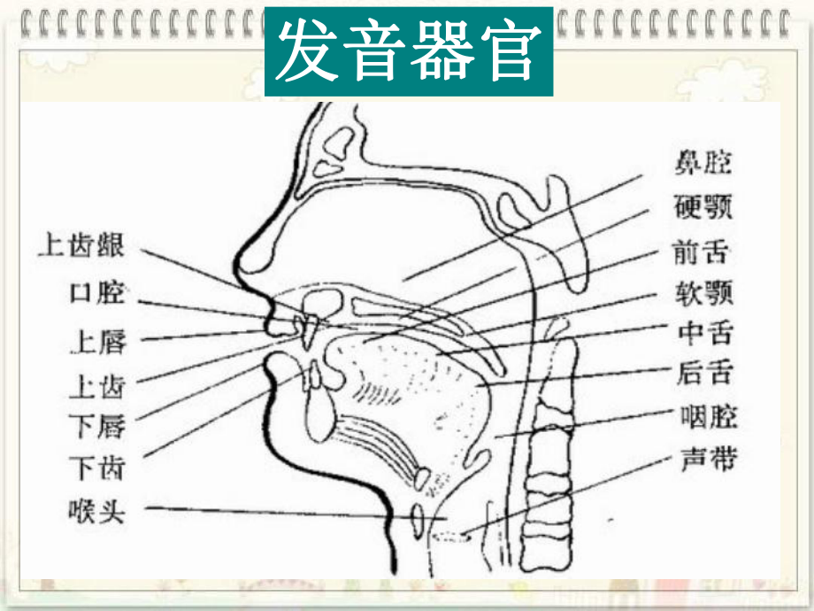 高中英语音标课件.ppt_第2页