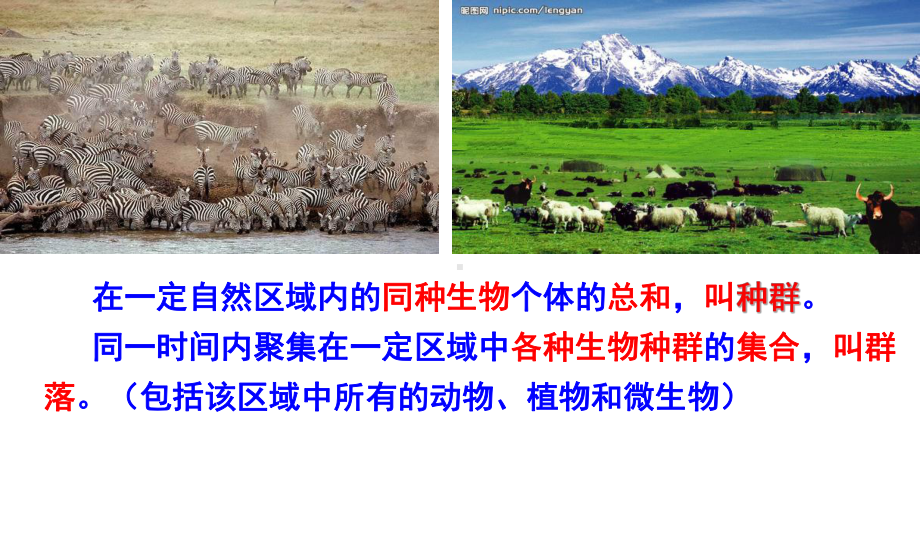 种群和群落课件.ppt_第3页