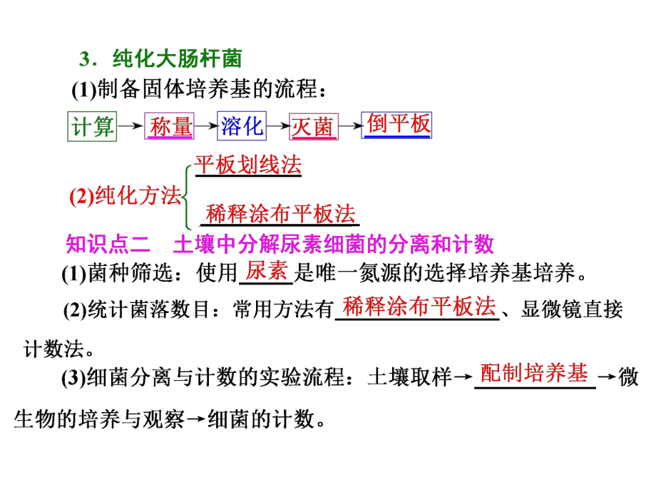 高考生物(通用版)一轮复习课件：3-1-1-微生物的培养、分离与计数.ppt_第3页