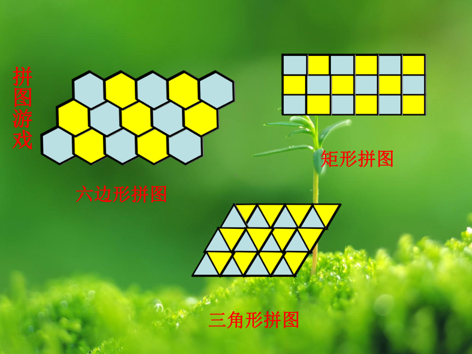 鲁教版数学八年级上册：54《多边形的内角与外角和》课件2.ppt_第2页