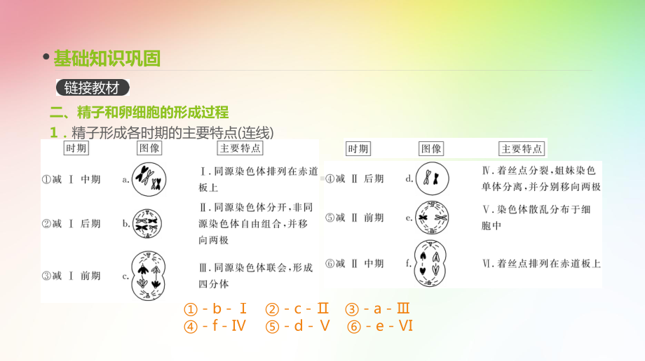 高中生物专题复习-第13讲-减数分裂和受精作用课件.pptx_第2页