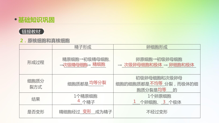 高中生物专题复习-第13讲-减数分裂和受精作用课件.pptx_第3页