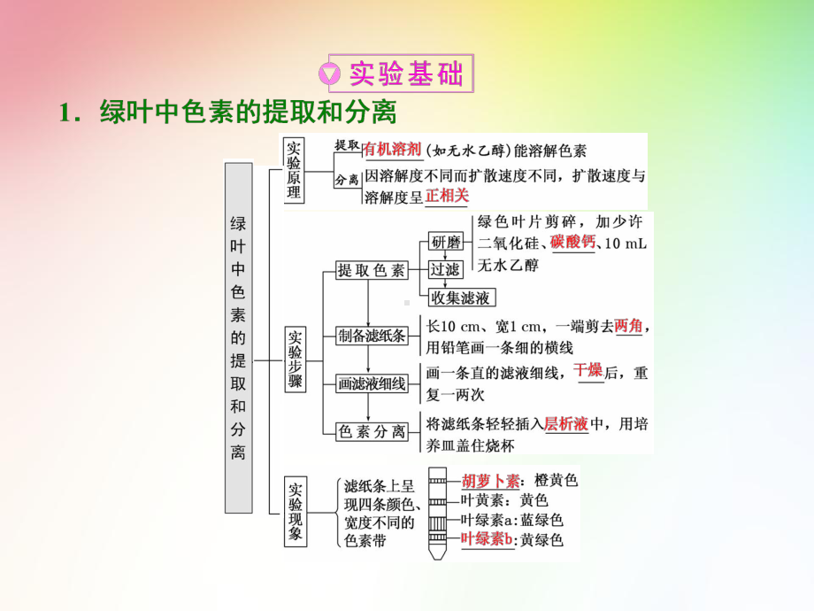 高中生物必修一-绿叶中的色素及其提取、分离(实验课)课件.ppt_第2页