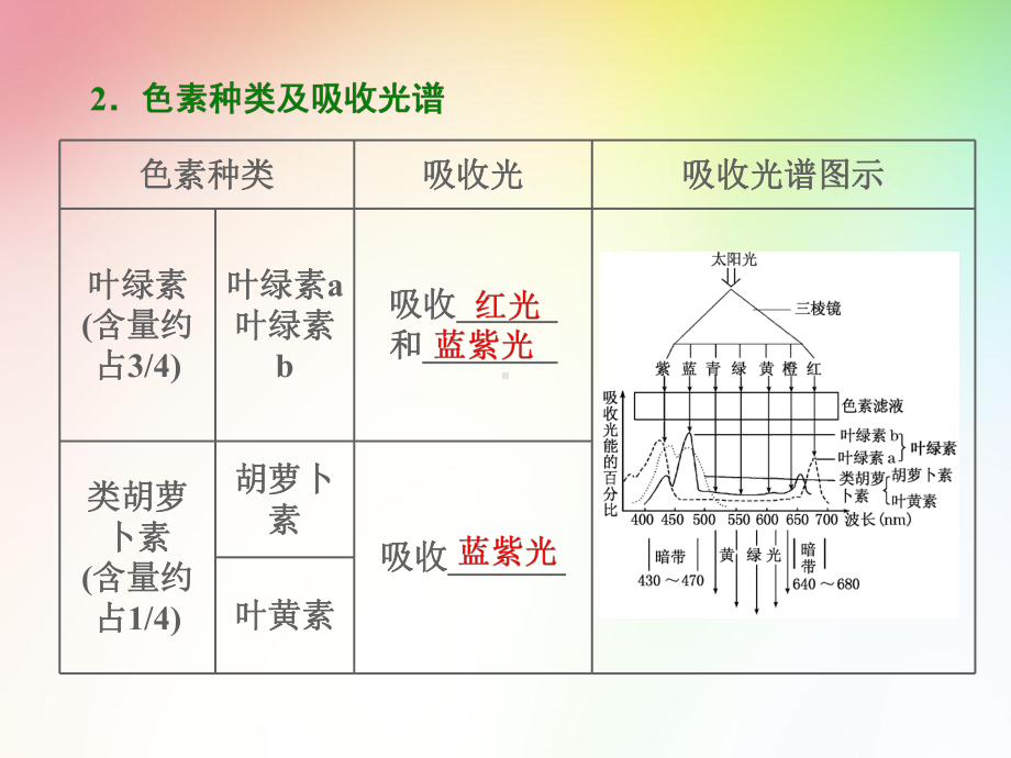 高中生物必修一-绿叶中的色素及其提取、分离(实验课)课件.ppt_第3页