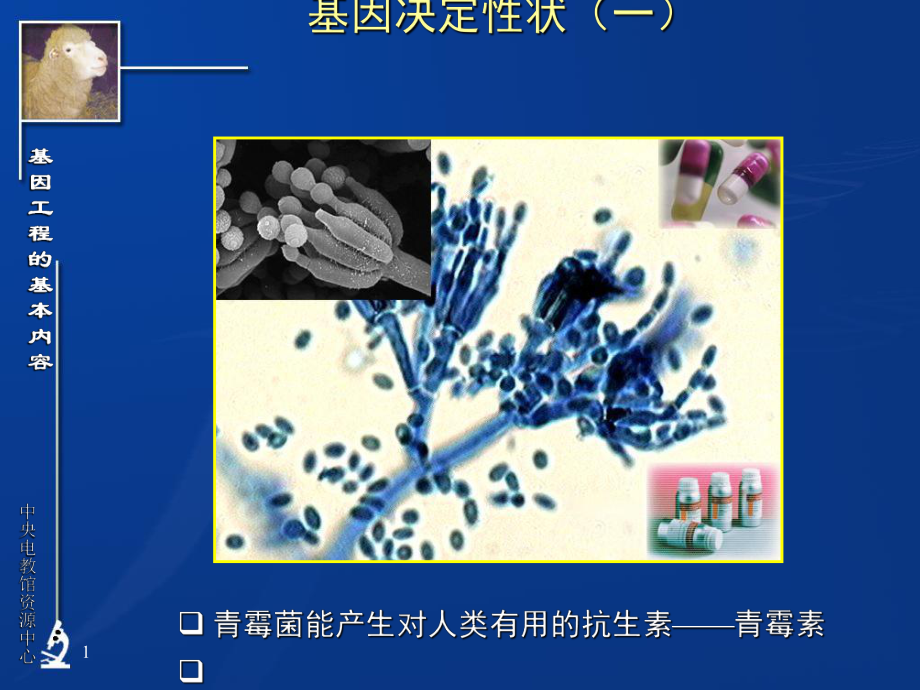 高三生物基因工程的基本内容课件.ppt_第1页