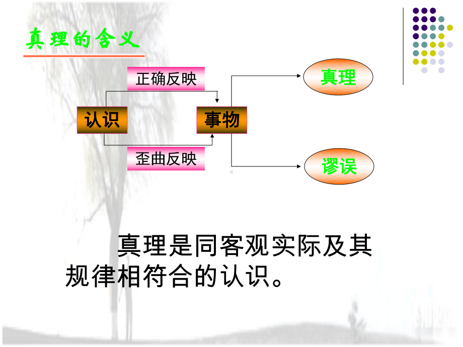 真理课件教学.ppt_第2页