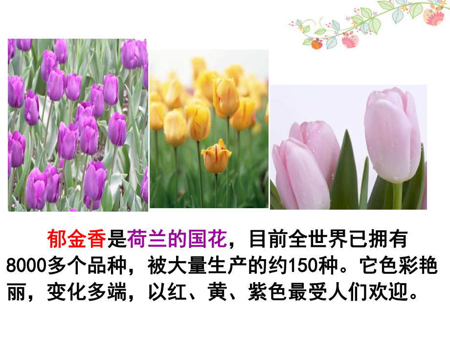 苏教版三年级语文下册《七单元练习》课件.ppt_第3页