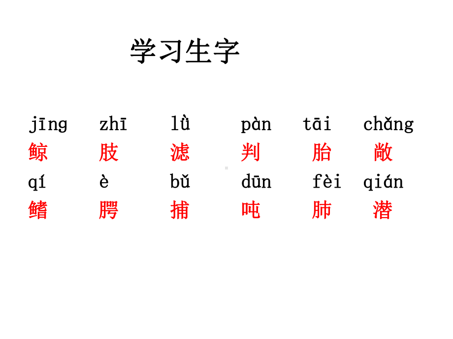 《鲸》ppt课件6[1].ppt_第2页