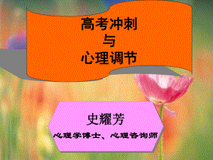 高考冲刺与心理调节课件.ppt