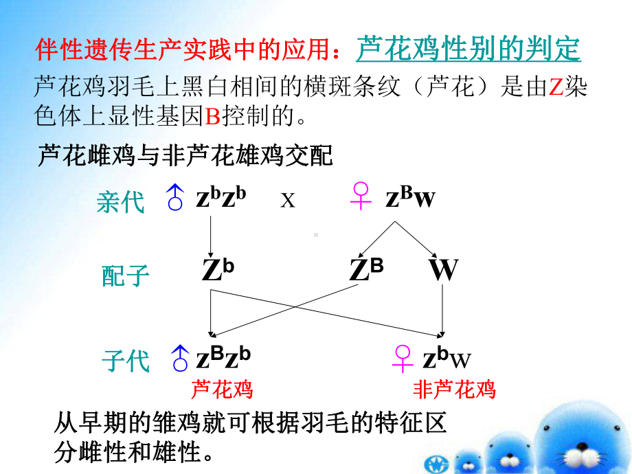 高中生物必修2优质课件2：232伴性遗传的实践应用.ppt_第3页