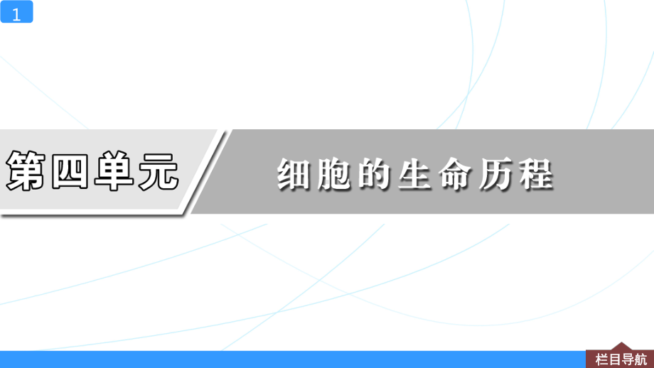 一轮复习课件第13讲-细胞的分化、衰老、凋亡与癌变.ppt_第1页