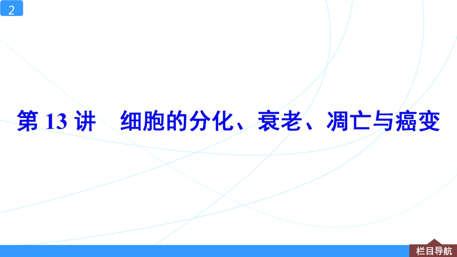 一轮复习课件第13讲-细胞的分化、衰老、凋亡与癌变.ppt_第2页