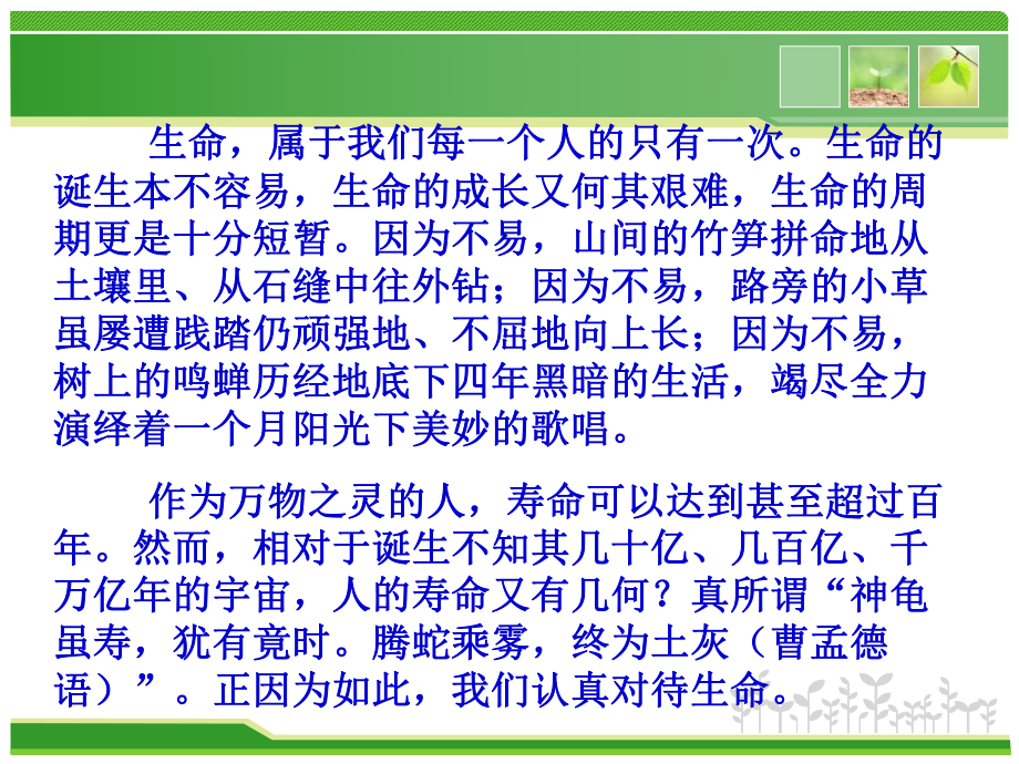 高一年级班会课件：《生命之花》.ppt_第2页