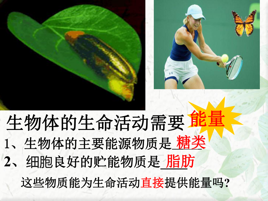 高中生物细胞的能量通货课件.ppt_第1页