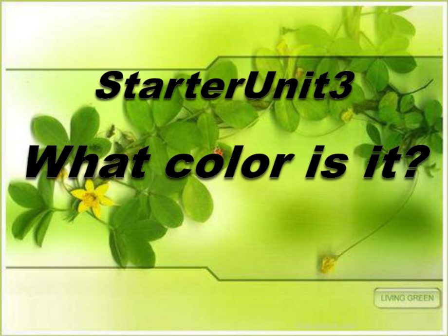 人教版七年级英语上册《Starter-Unit-3-What-color-is-it》课件.pptx_第1页