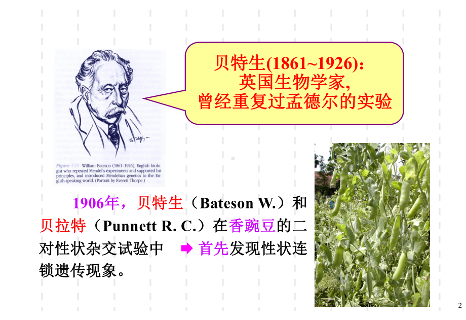 遗传学经典连锁遗传分析课件.ppt_第2页