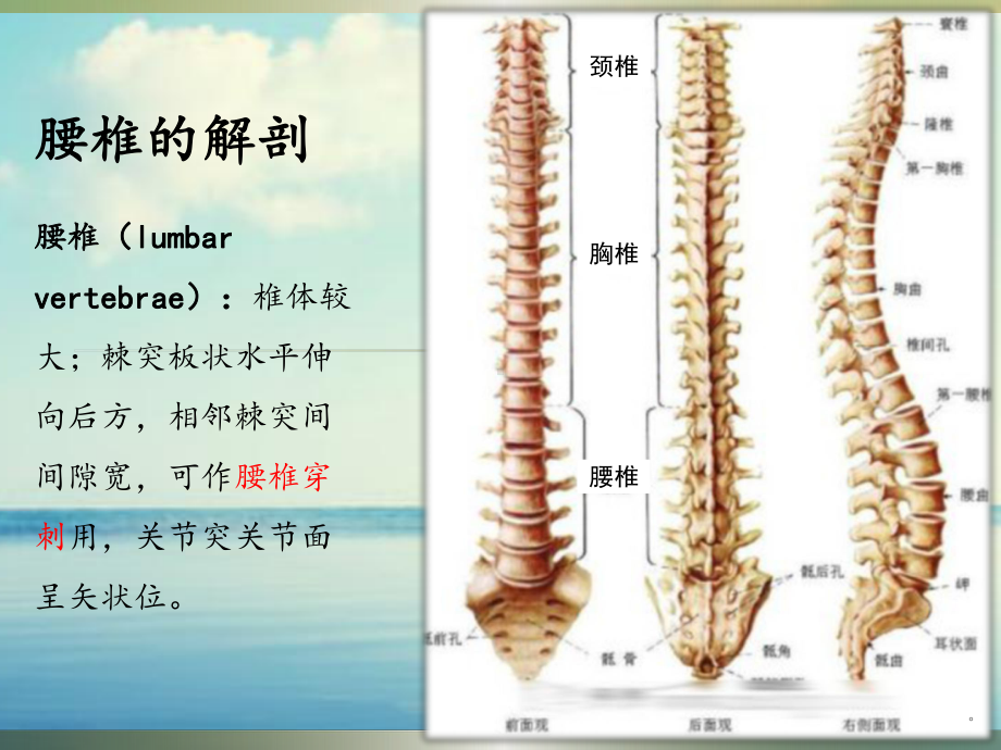 新版腰椎骨折病人的护理培训课件.ppt_第3页