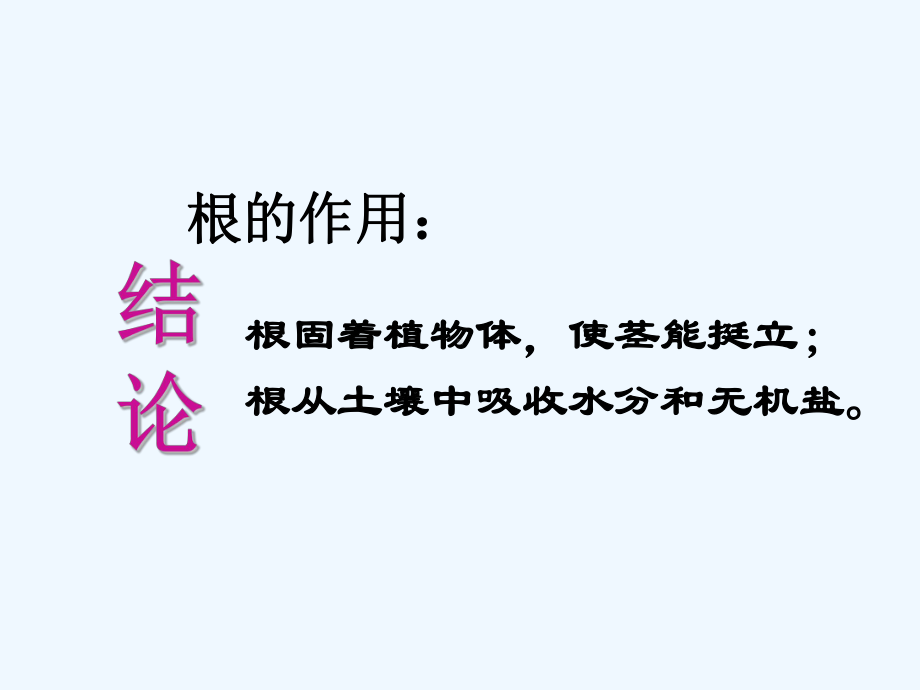 植物对水分和无机盐的吸收课件.ppt_第3页