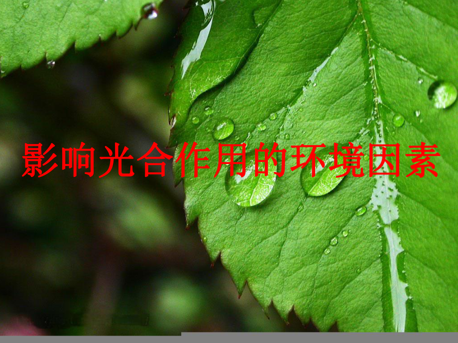 影响光合作用因素(公开课)说课材料课件.ppt_第1页