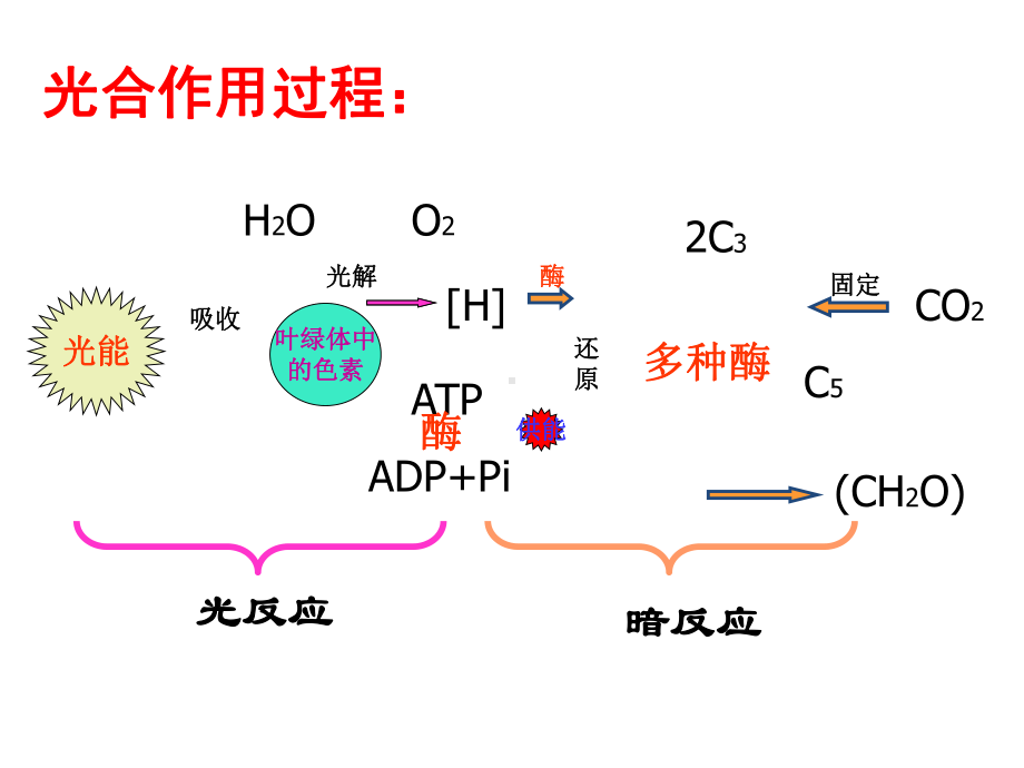 影响光合作用因素(公开课)说课材料课件.ppt_第2页