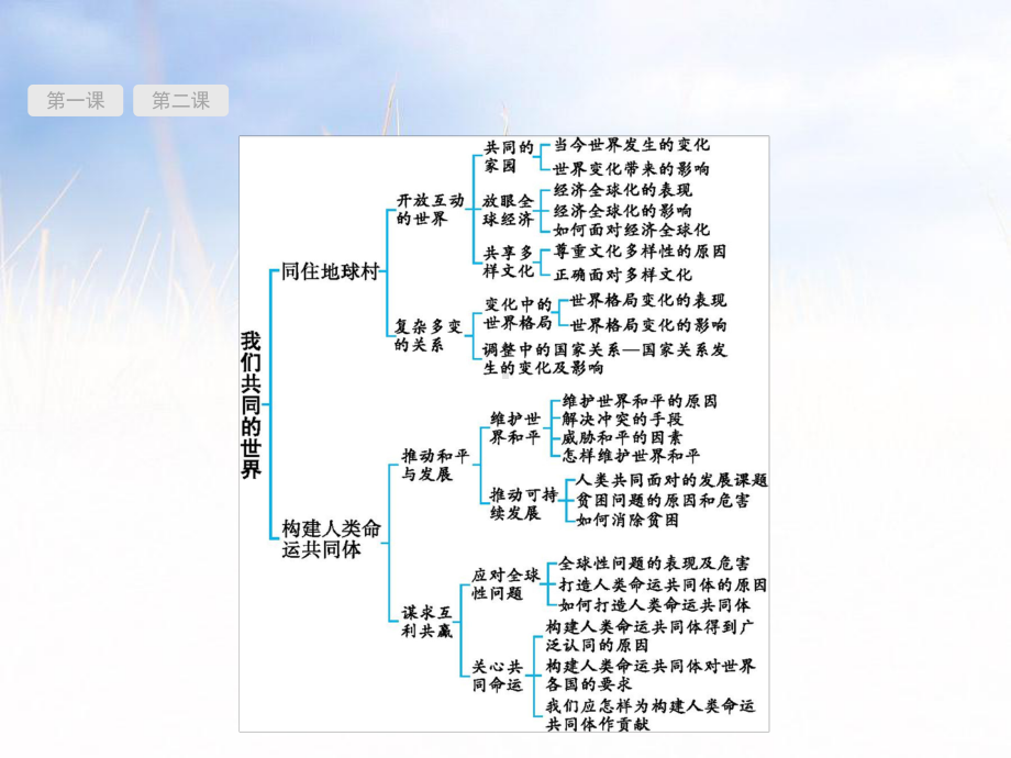 部编人教版九年级下册道德与法治：第一单元-我们共同的世界精美课件.pptx_第2页