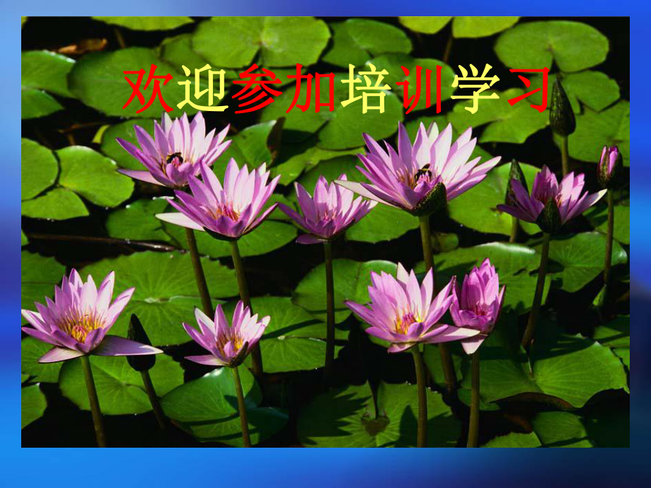 保洁员培训概述课件.ppt_第1页