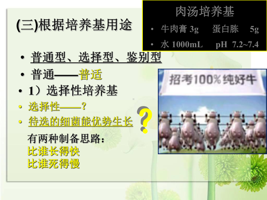 w微生物2-3.ppt_第3页