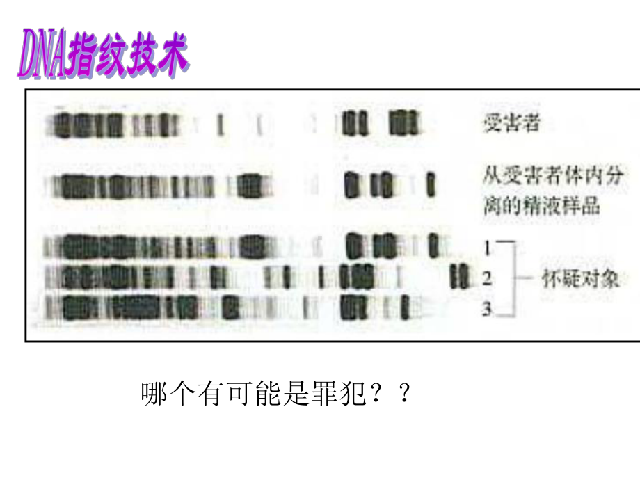 高一生物必修一核酸课件.ppt_第3页