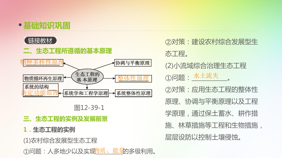 高中生物专项复习-第39讲--生态工程课件.pptx_第2页