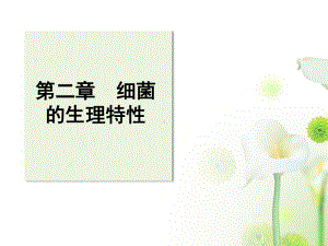 w微生物12-1.ppt