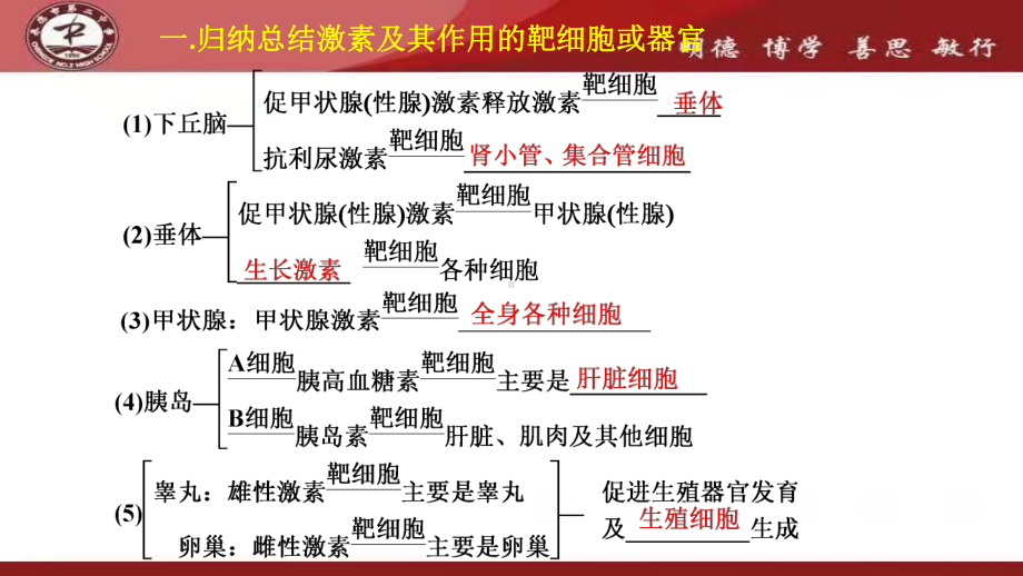 高考生物专题复习-激素调节课件.pptx_第3页