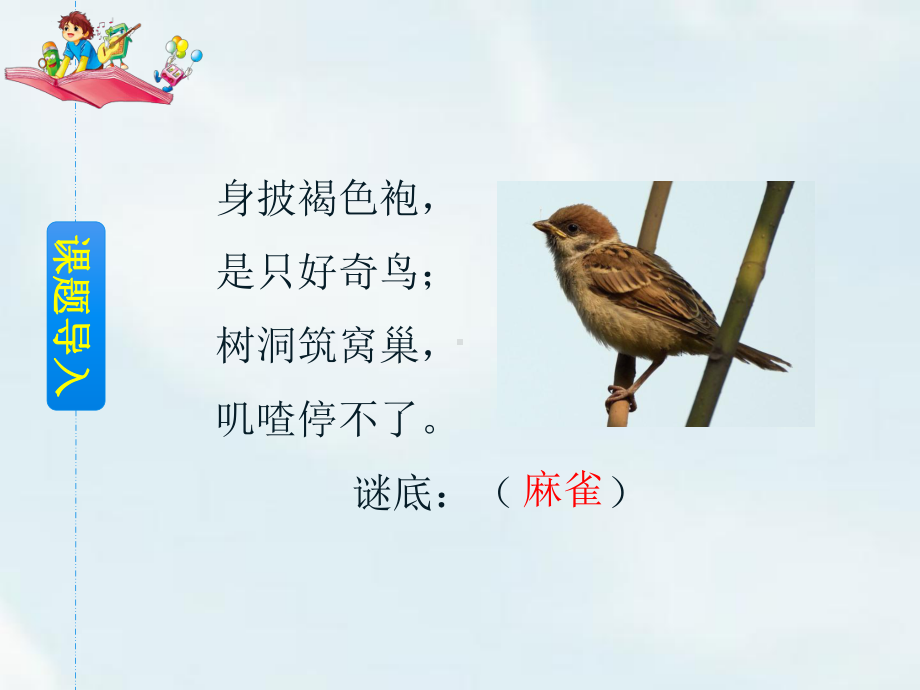 麻雀完整版课件.ppt_第2页