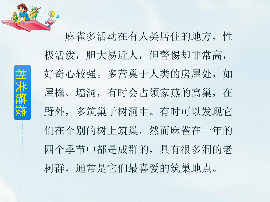 麻雀完整版课件.ppt_第3页