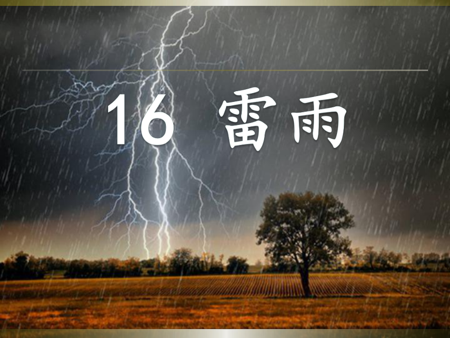 部编版语文二年级下册第六单元《雷雨》课件.ppt_第3页