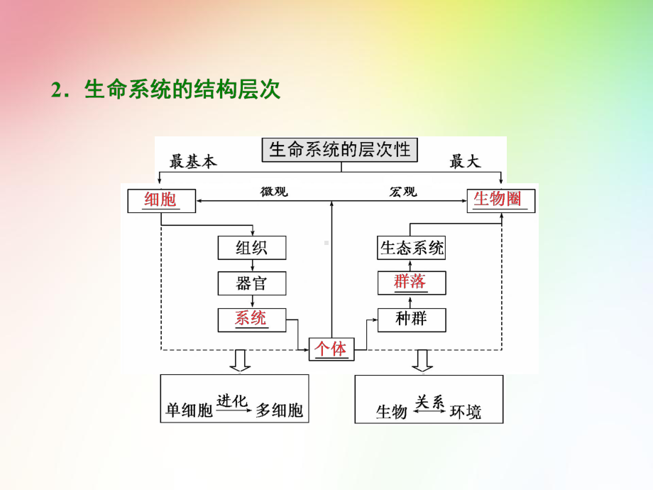 高中生物必修一-走近细胞课件.ppt_第3页