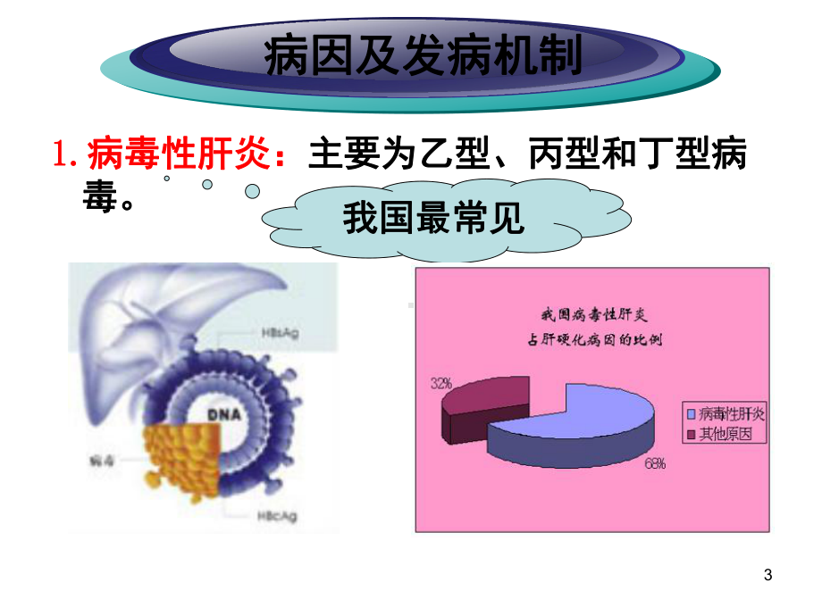 肝硬化病人的护理课件讲义.ppt_第3页