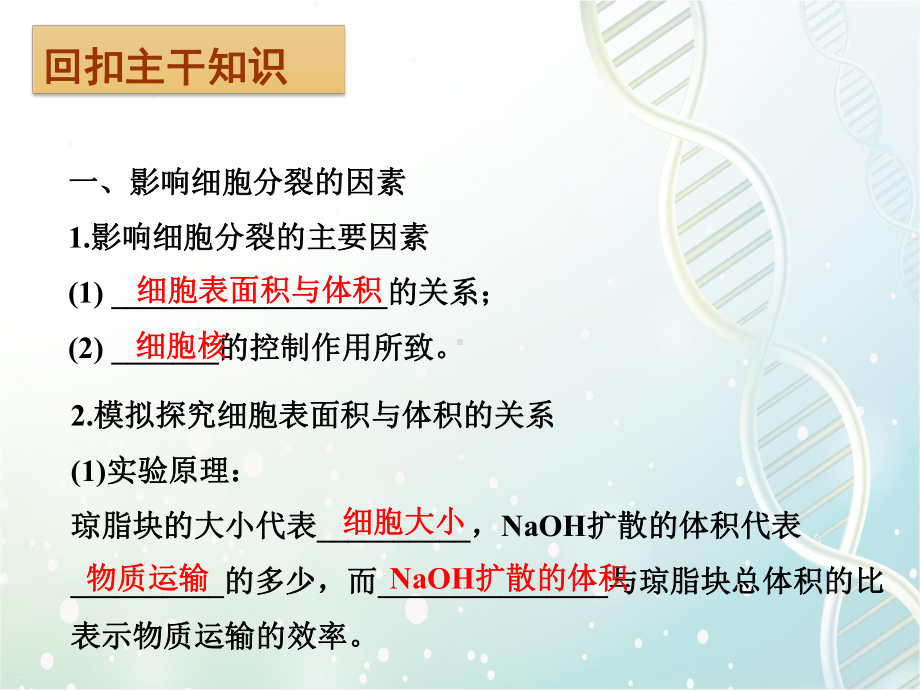 高三生物一轮复习课件3：第11讲-细胞的增殖.pptx_第2页