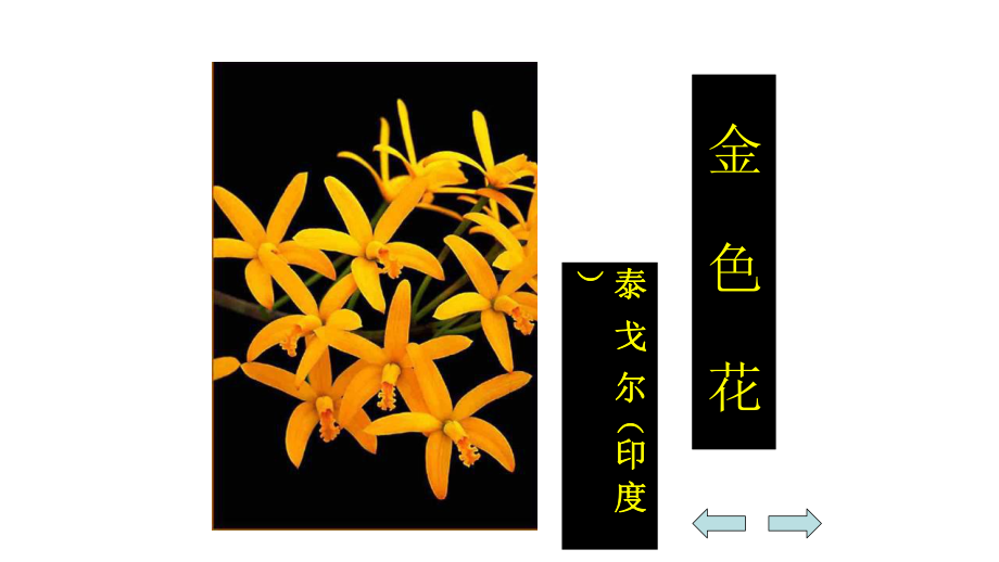 金色花-教学课件.pptx_第2页