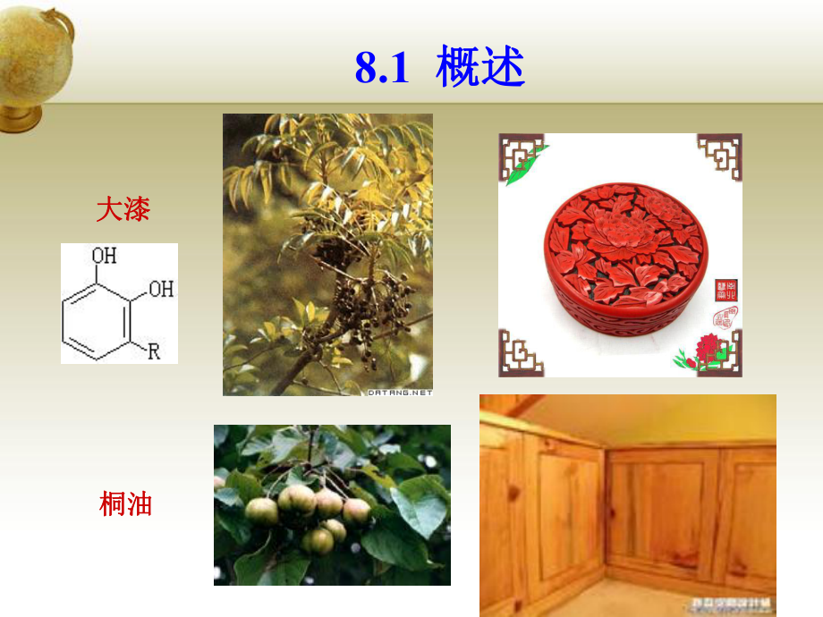 精细化工工艺学第8章课件.pptx_第3页