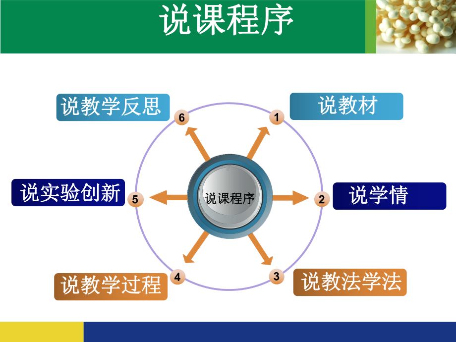 《测定某种食物中的能量》说课课件.ppt_第2页