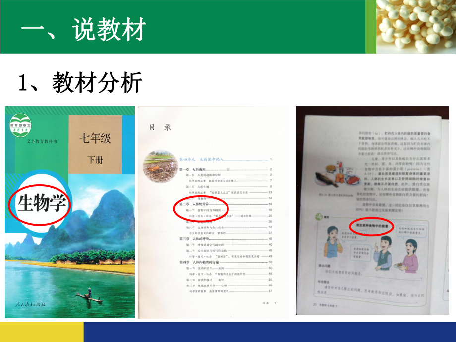 《测定某种食物中的能量》说课课件.ppt_第3页