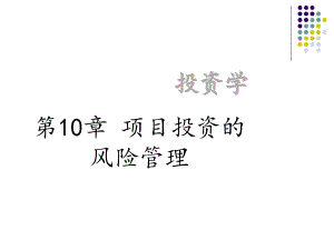 投资学-第10章课件.ppt