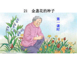 最新鄂教版三年级语文上册21金盏花的种子课件.ppt