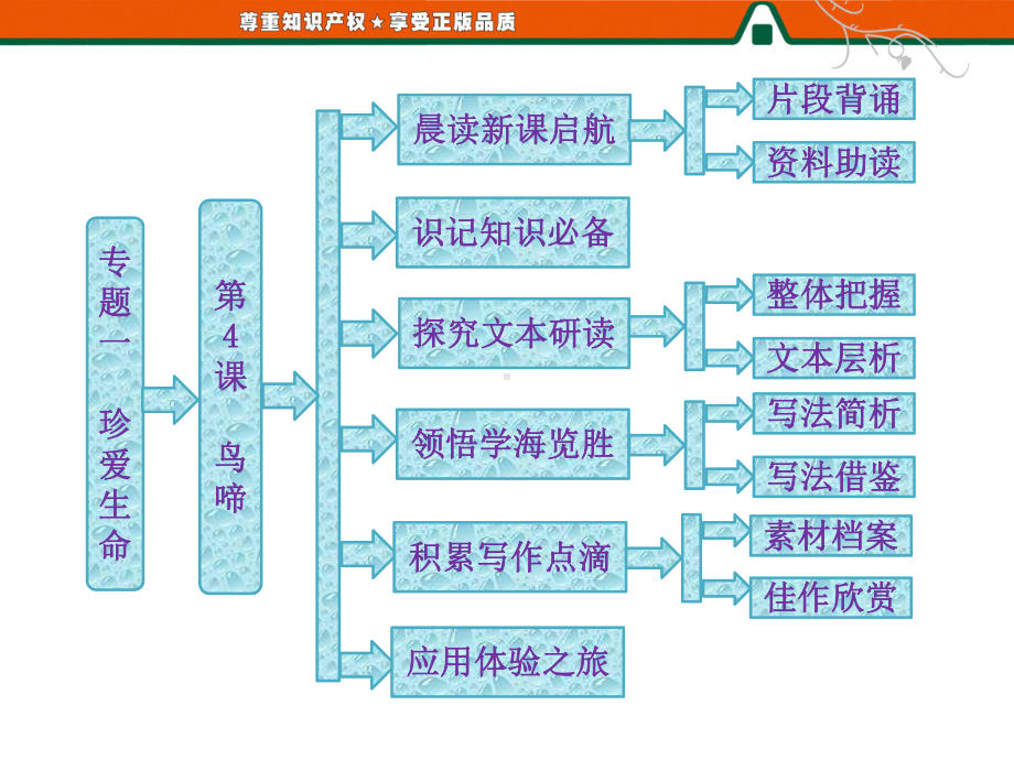 优秀课件第4课-鸟啼.ppt_第1页