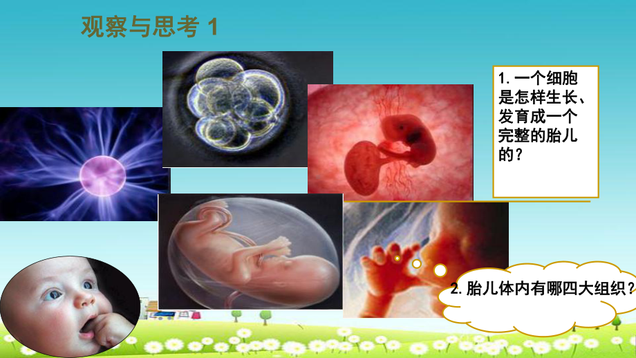 高中生物第六章细胞的生命历程61细胞增殖1课件新人教版必修1.ppt_第3页