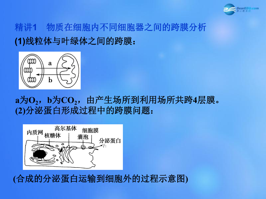 高考生物一轮复习-巧用模型分析物质穿膜问题微讲座课件-苏教版.ppt_第3页