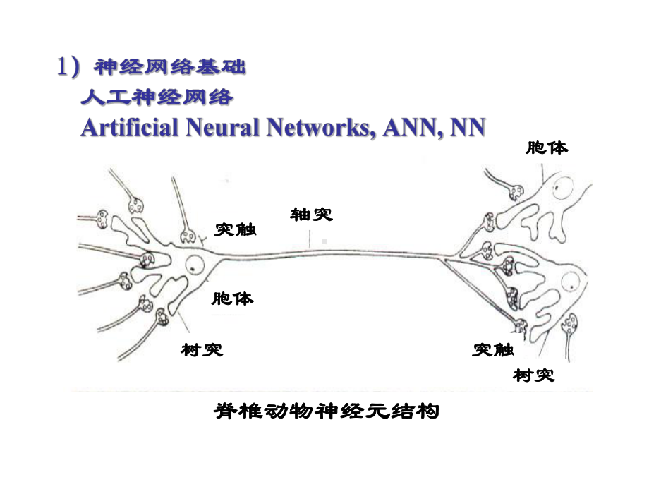 神经网络基础课件.pptx_第3页